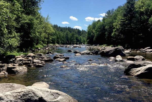 what to do in the adirondacks summer fall warner's camp ausable river